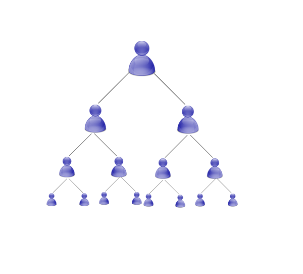 MLM Software Development Companies in Karnataka